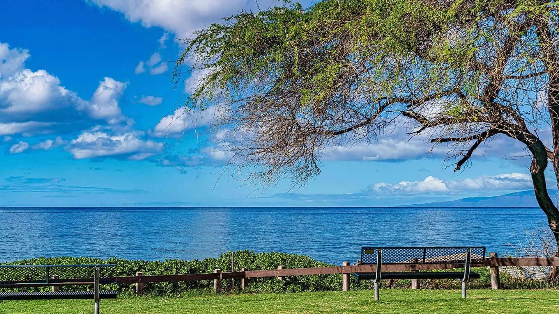Kamaole Sands 1-307 Wailea  Holiday home Wailea (Maui)